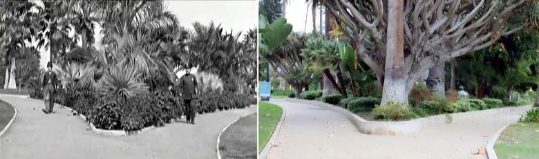 Will Rogers Memorial Park in Beverly Hills