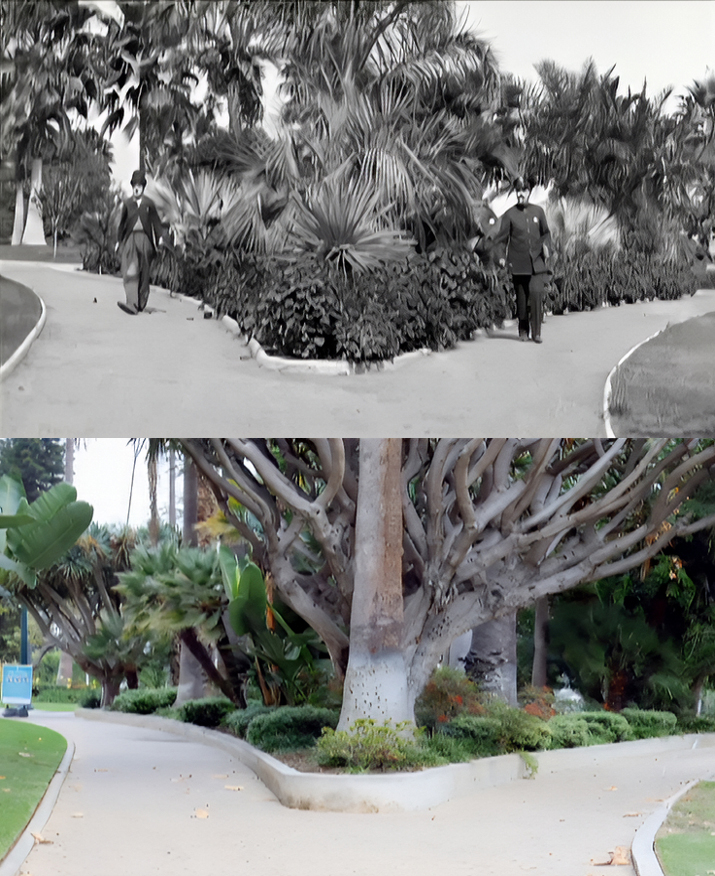 Will Rogers Memorial Park in Beverly Hills