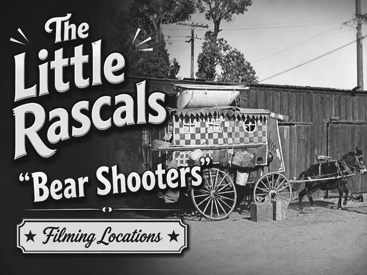 Bear Shooters