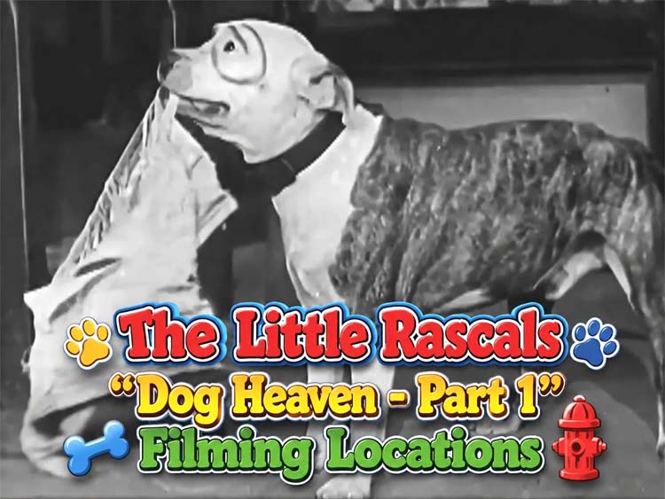 Dog Heaven Part 1