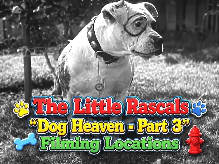 Dog Heaven Part 3