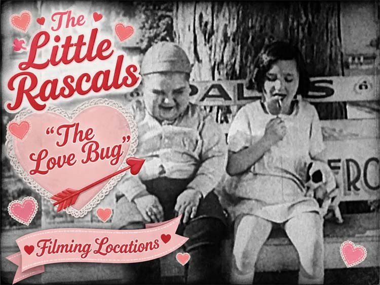 The Love Bug