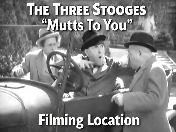 Mutts To You