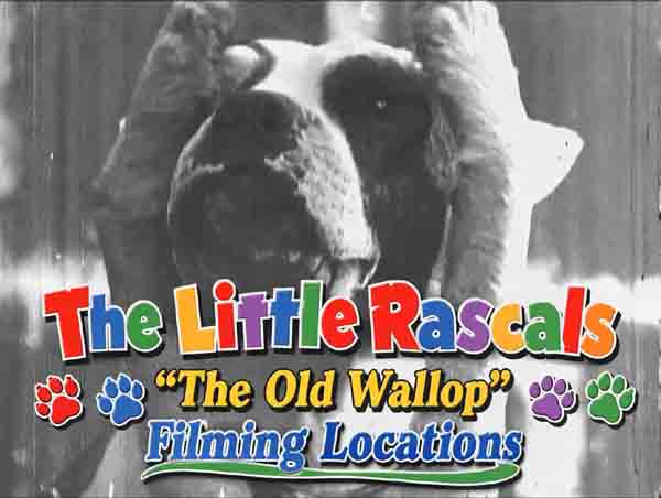 The Old Wallop